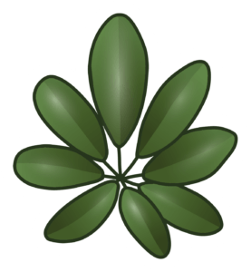 Plant Lives