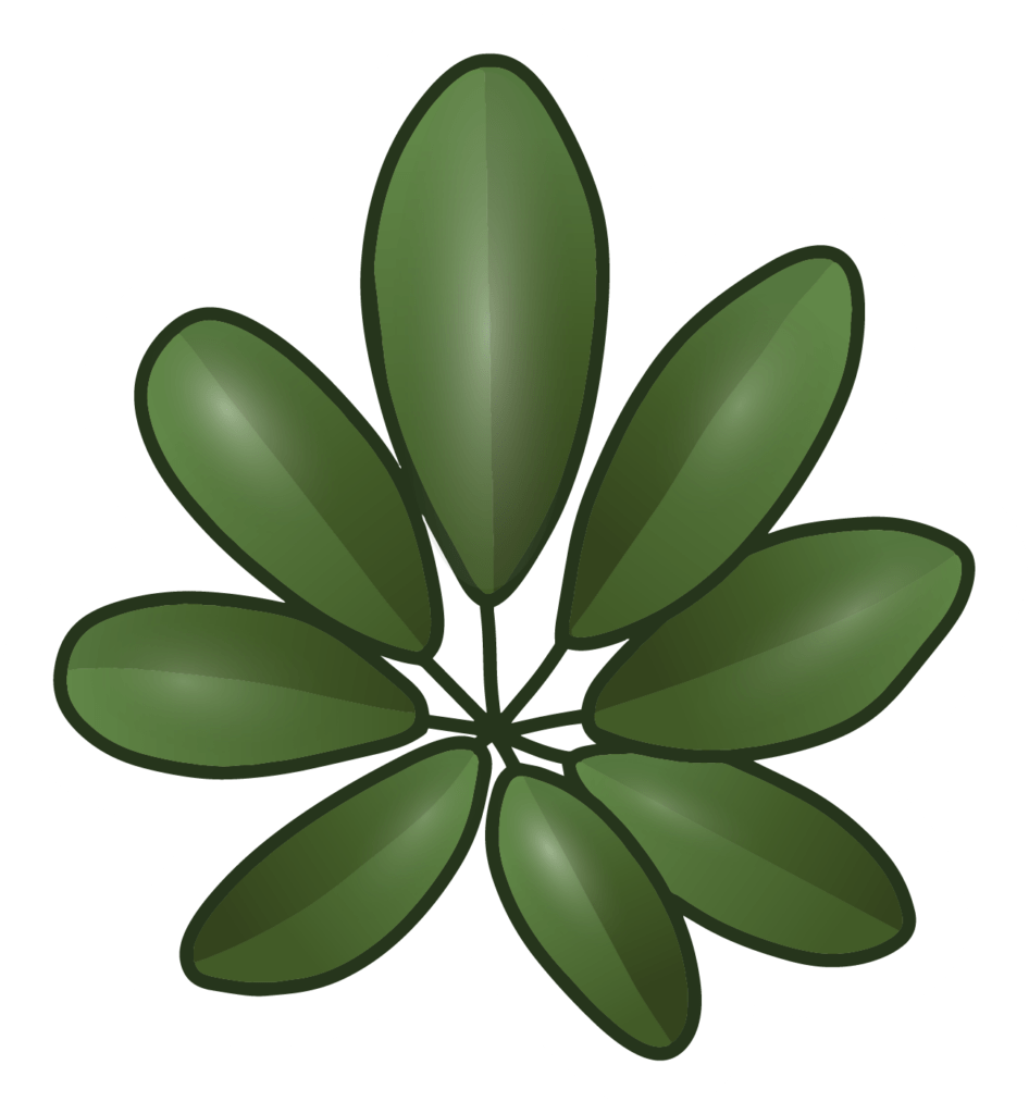 Plant Lives