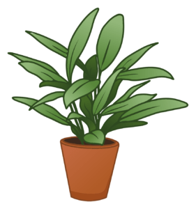 Flowers in pot